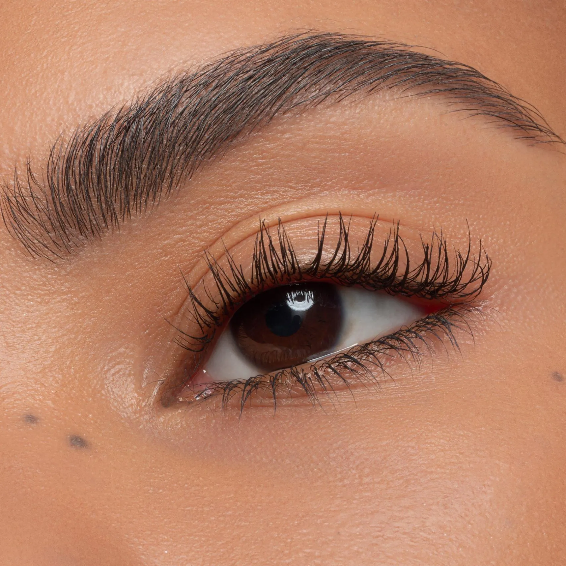 Wenkbrauwen^essence easy & WOW brow set medium -